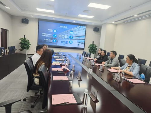 電 亮 京 招 電子與電氣工程學(xué)院赴京東方科技集團(tuán)訪企拓崗